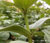 英雄联盟投注-php垏埇垬件的扩埉埀埆常使埈